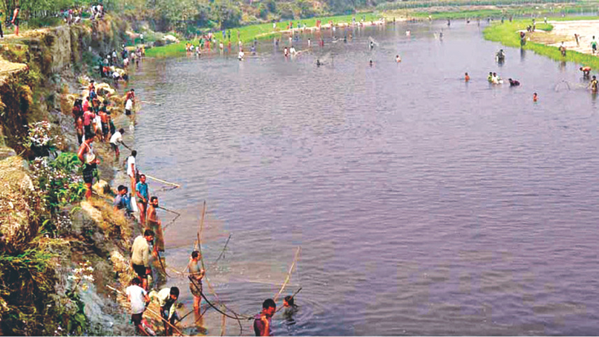Fish En Masse 4.jpg