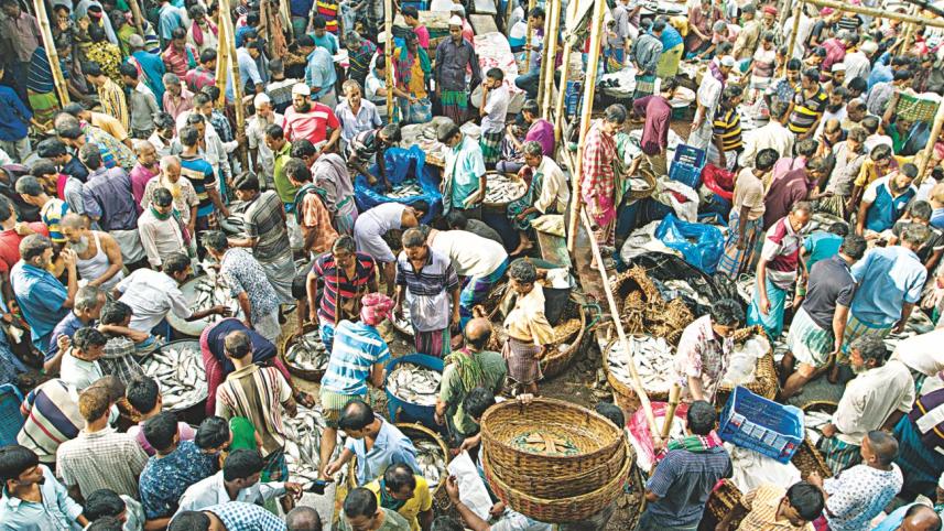 Fish fanatic's day out