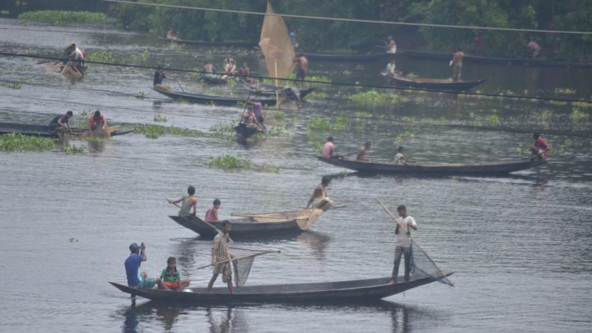 Fish species in haor.jpg