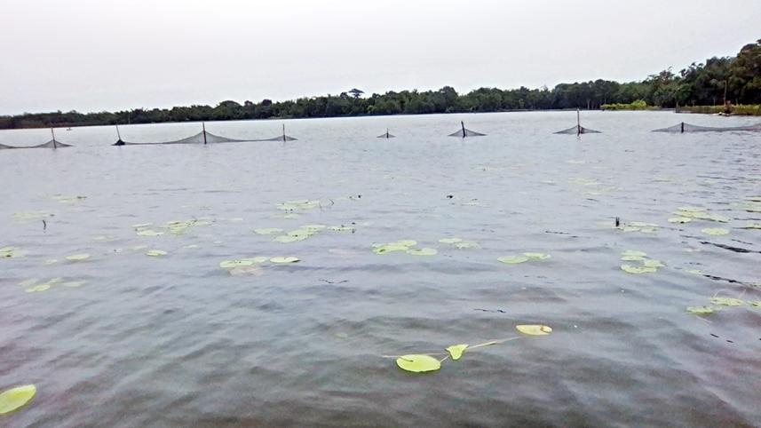 flood in jamalpur.jpg