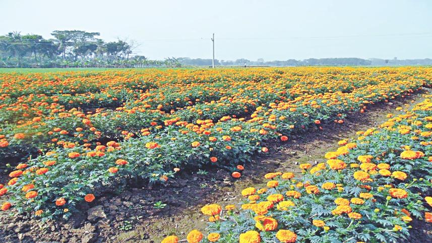 flower.jpg