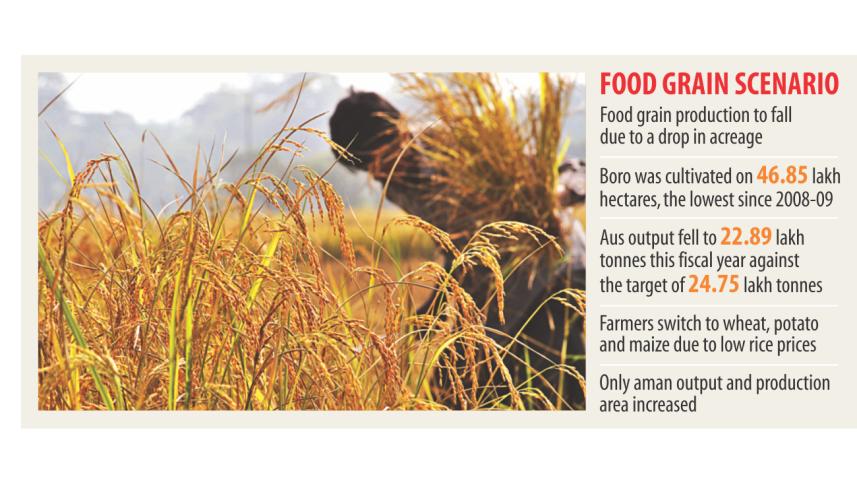 Food grain production.jpg