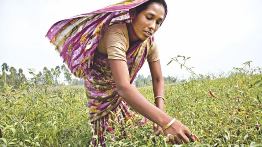 food security and poverty reduction