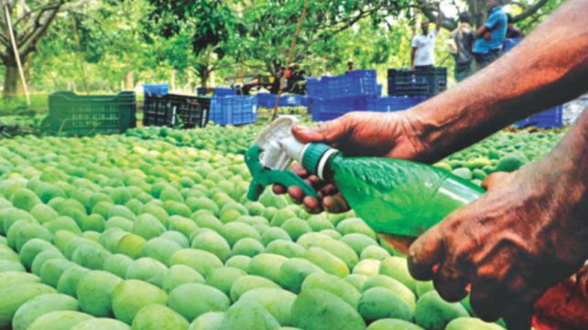 fruit adulteration.jpg