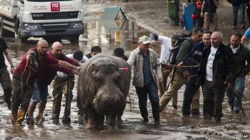 georgia flodd new.jpg