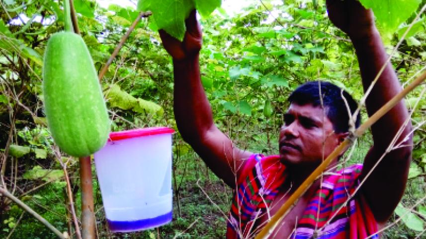 Gobindanagar village.jpg