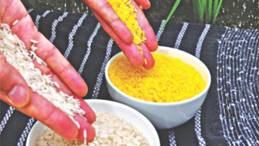 golden_rice.jpg