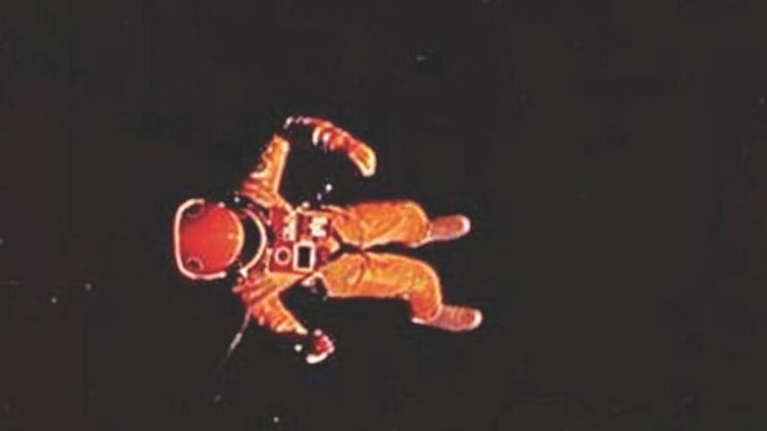 Grass & Stars, Planets & Trees