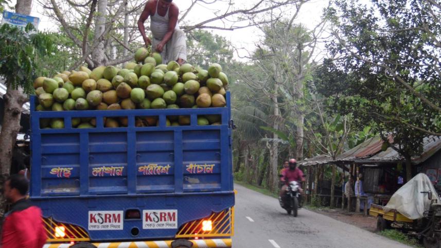 Green coconut brightens.jpg