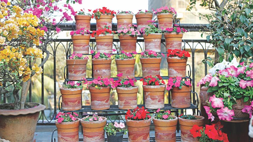 Greenery on rent 1.jpg