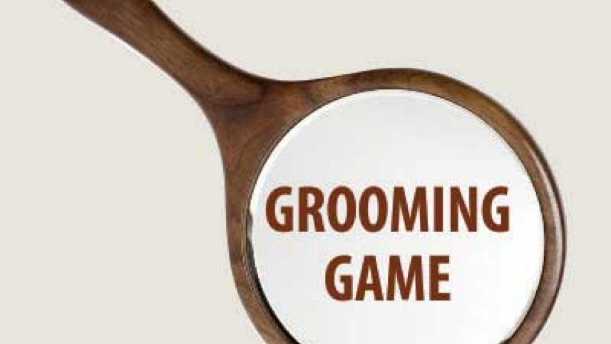 Grooming Game