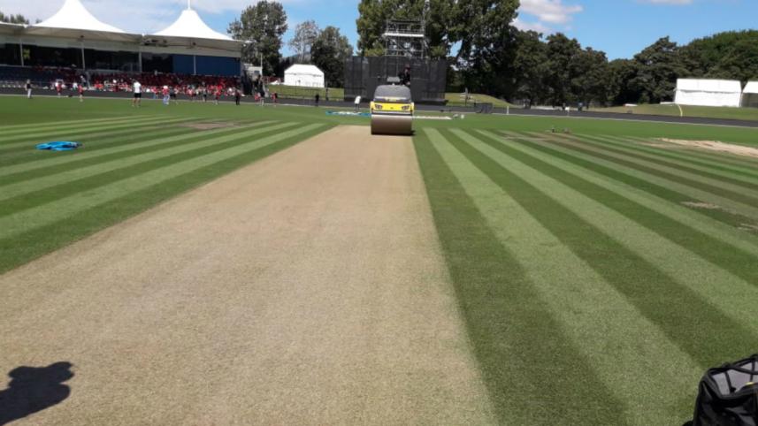 Hagley Oval Pitch.jpg