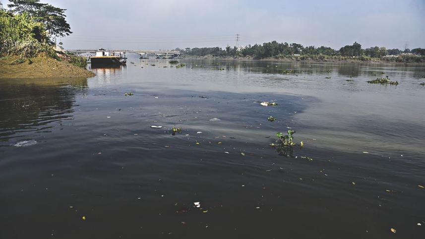 Big industries killing Halda