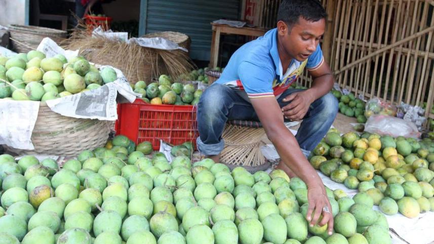 Haribhanga mango rangpur.jpg