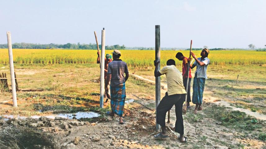 harvesting crops.jpg