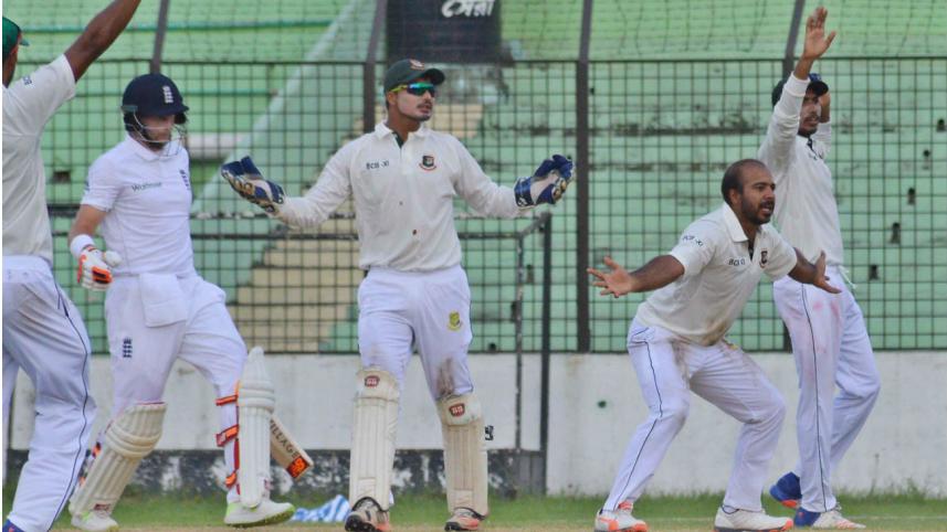 Hasan & Tanvir 1.jpg