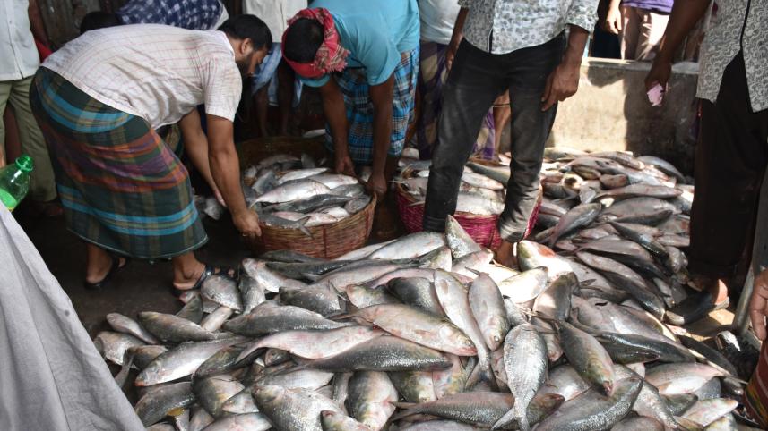 Hilsa floods Barishal.jpg