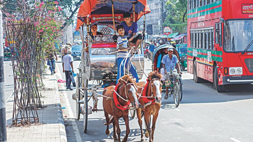 horse-drawn carriages 1.jpg