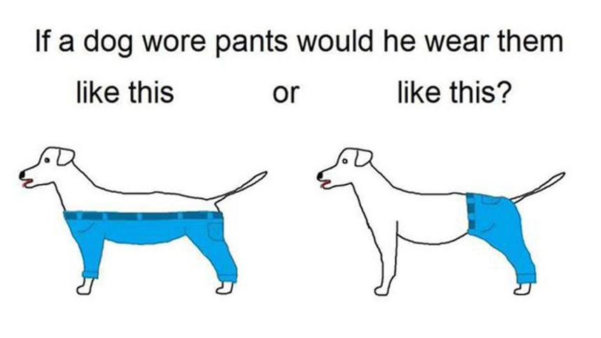 how_a_dog_wears_pants-web.jpg