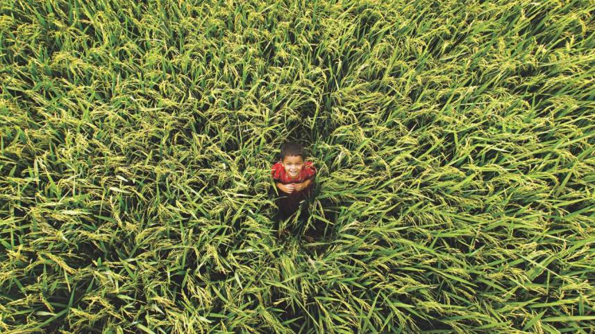 How Young Bangladeshis can Embrace the Winds of Change