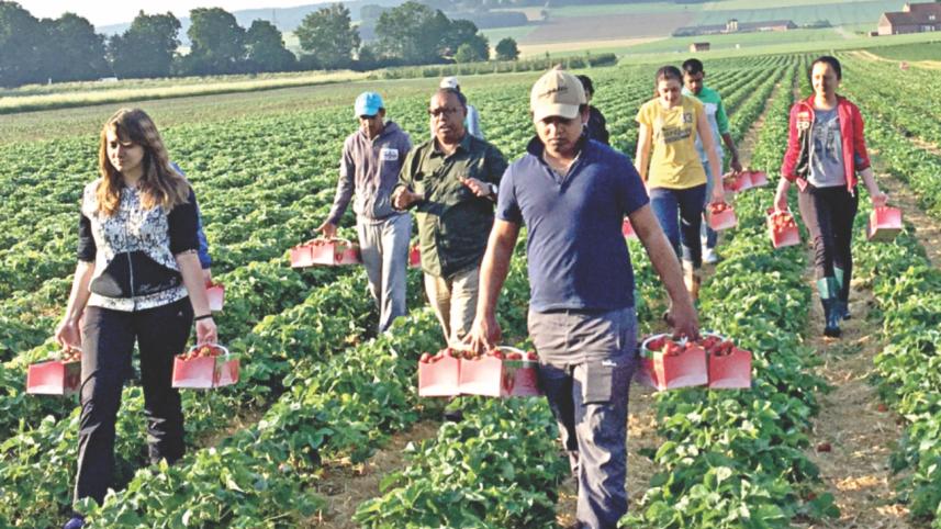 hridoye mati o manus.jpg