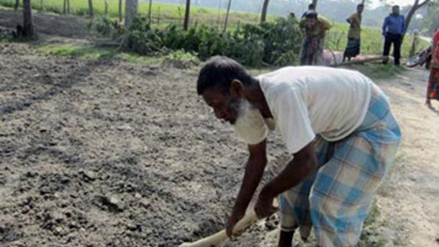 Impact Bulbul Patuakhali.jpg