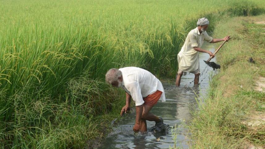 Indian-farmers