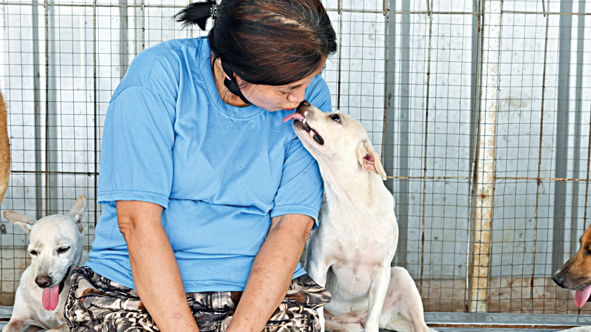 Indonesia-dog-doctor.jpg