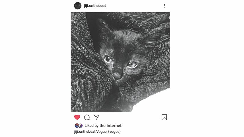Pet as an online Influencer