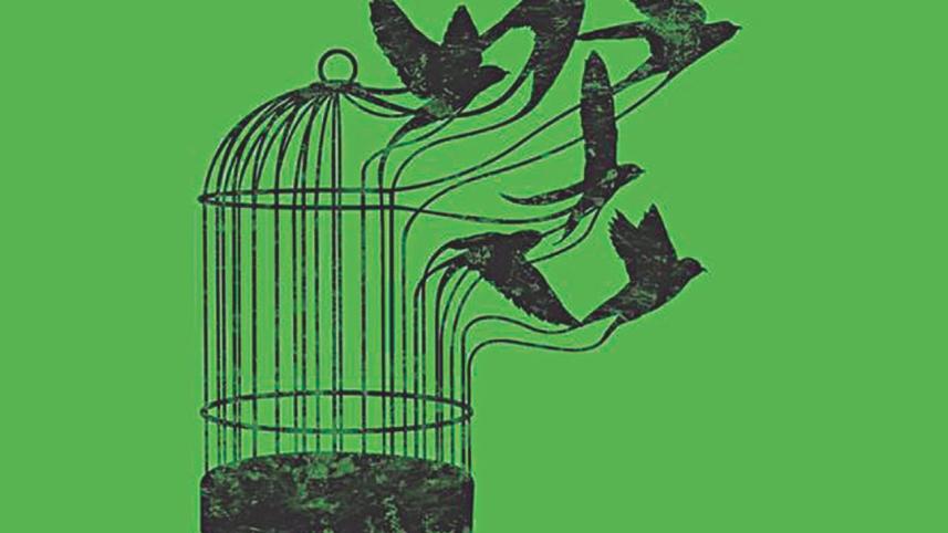 Intellectual property