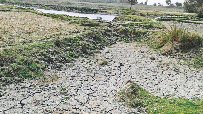 Irrigation suffers.jpg