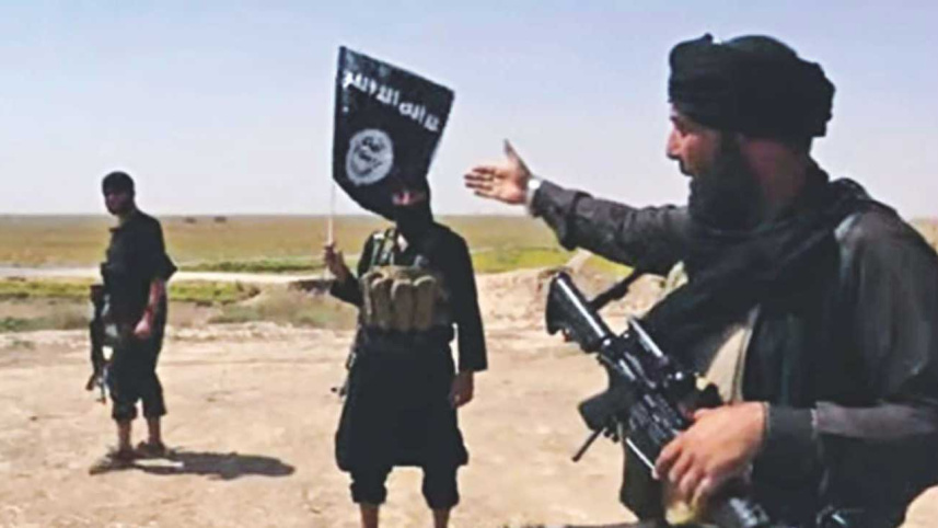 isis