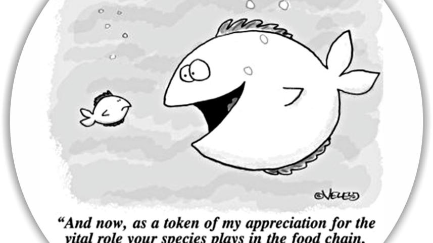 Its good to be eaten