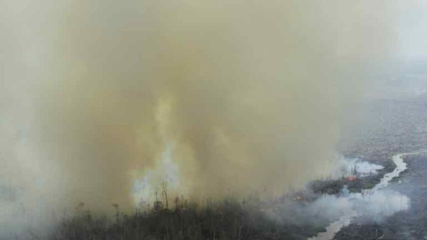 Indonesia's top Islamic clerical body, fatwa, fatwa against forest fires, Indonesia clerics, Southeast Asia