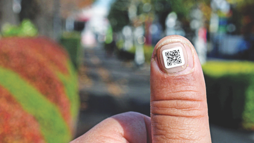 japan citizens code.jpg