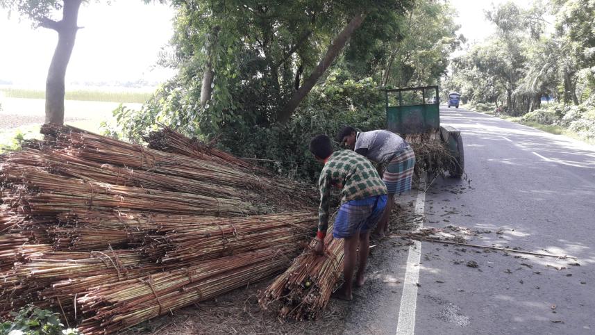 Jhenidah jute farmers.jpg