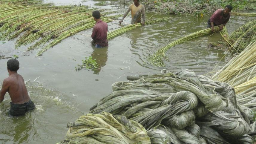 jute Lalmonirhar Sadar.jpg