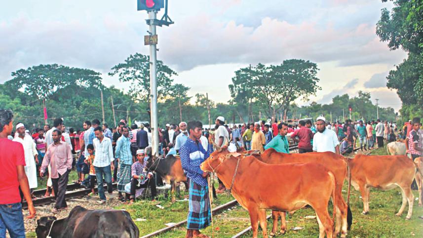 Kamalganj upazila.jpg