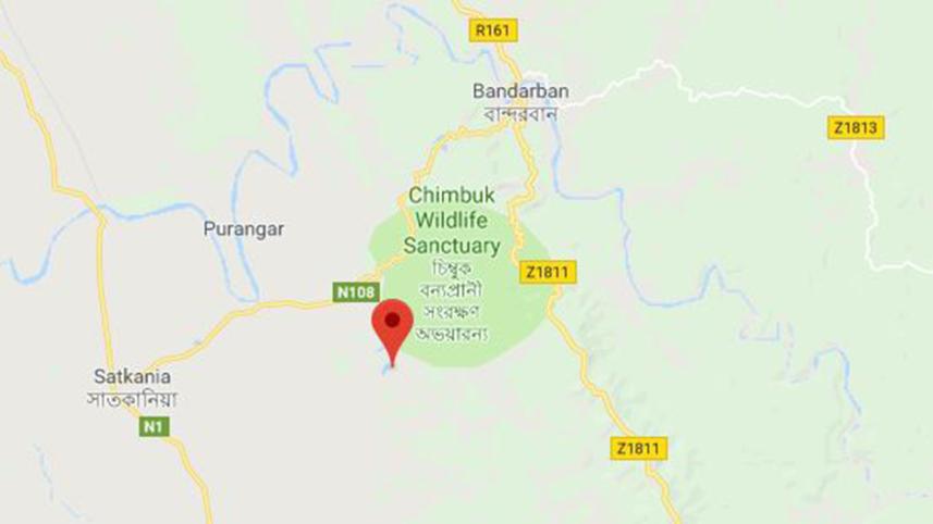 Wild elephant found dead in Bandarban lake
