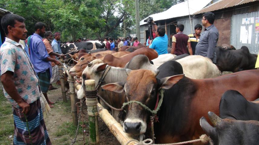Lalmonirhat Sadar upazila.jpg
