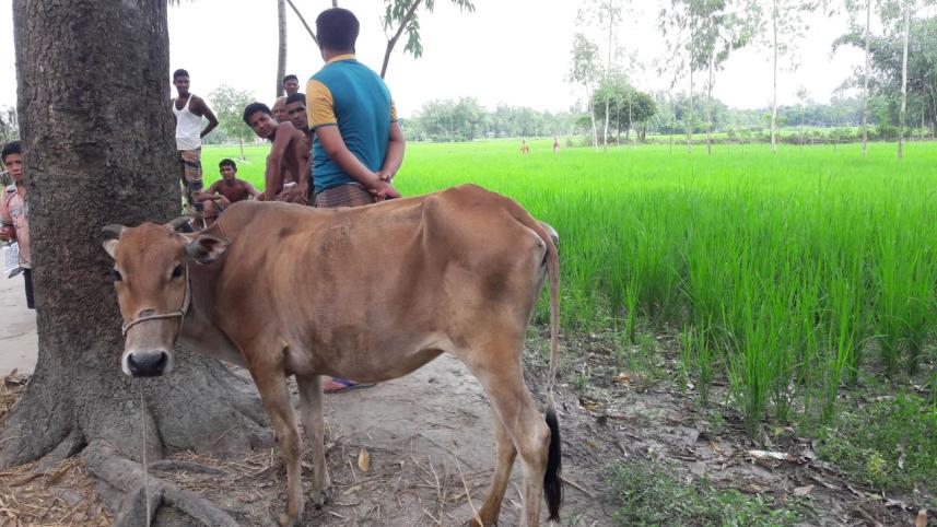 land goes to owner.jpg