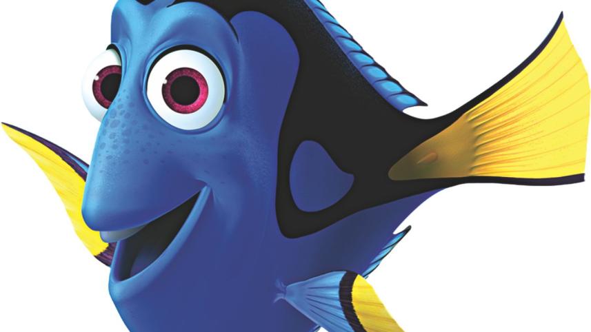 Life of a forgetful person