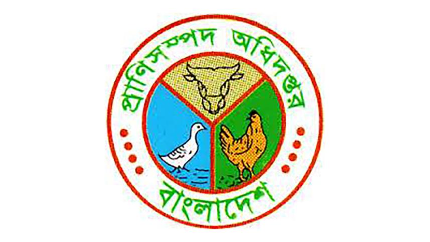 Department of Livestock Services