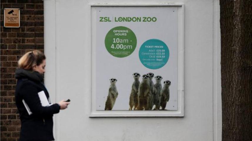london zoo_Reuters.JPG