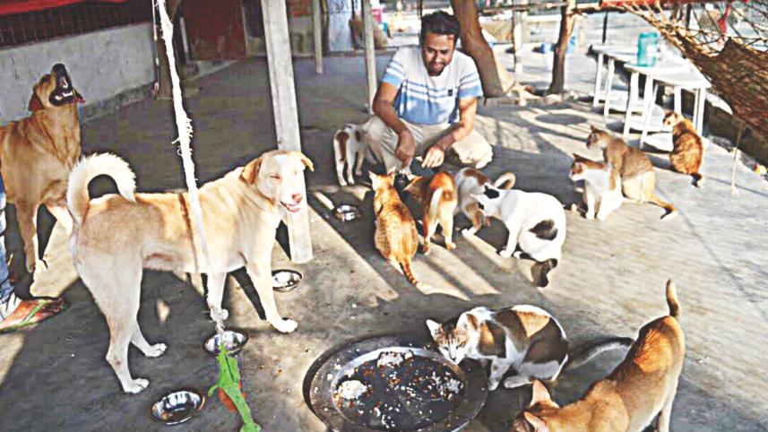 love for animals.jpg