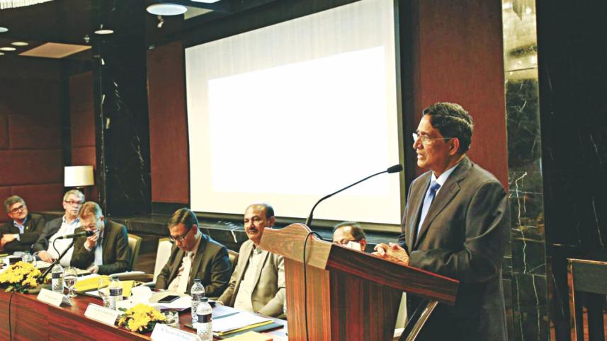 Maize emerging crop.jpg