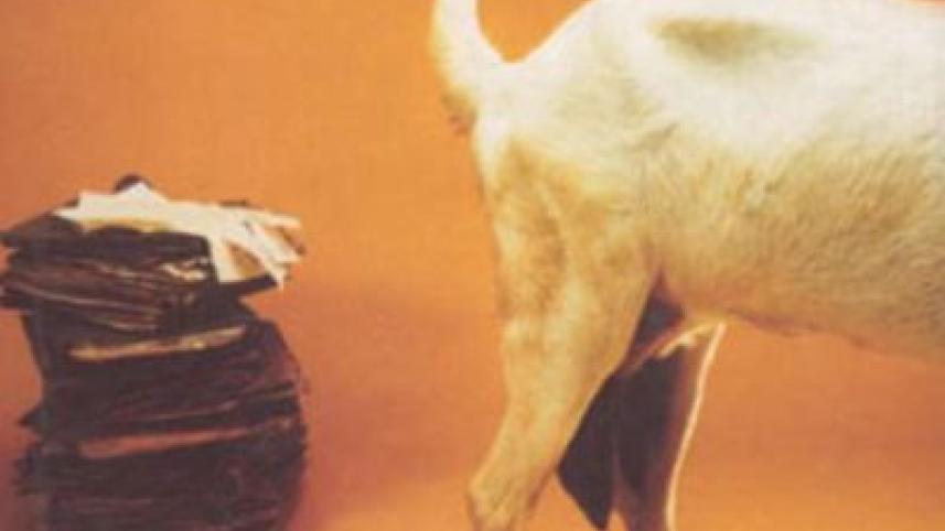 Mammaries socialist.jpg