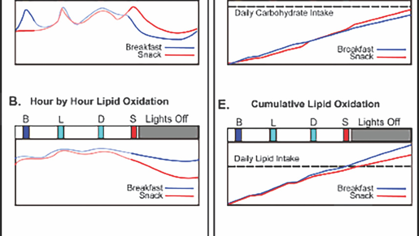 manage your weight.jpg