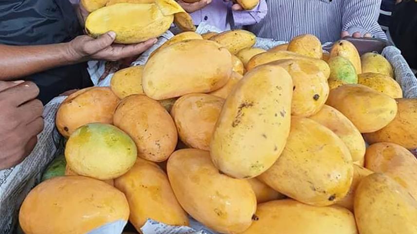 Mango.jpg