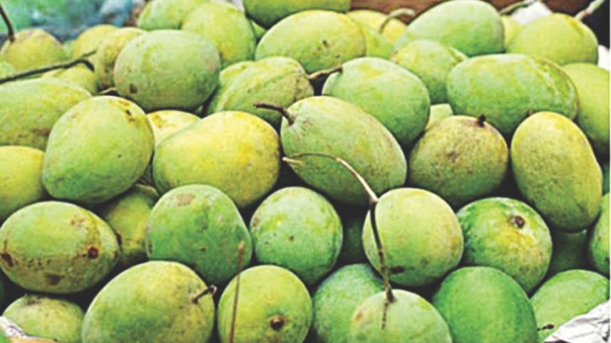 Mango ,exports ,fall on safety ,